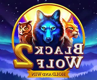 Gambling review site - Crazy Time (Gallery 1-2)